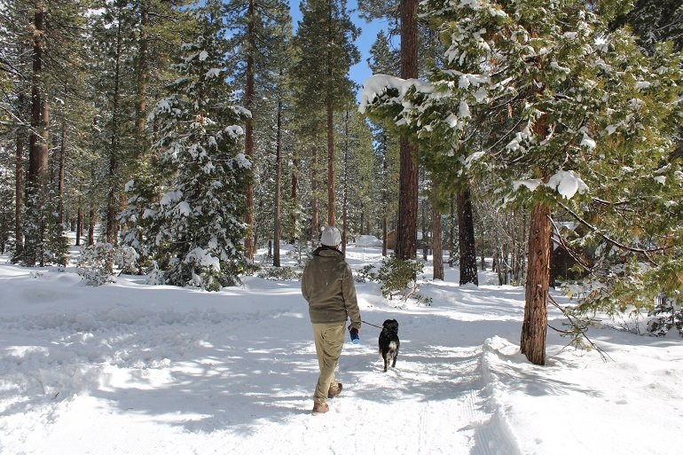 winter hiking Tahoe